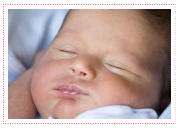 Summ Summ Summ – Rot