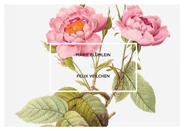 Tristan und Isolde – Antwortkarte