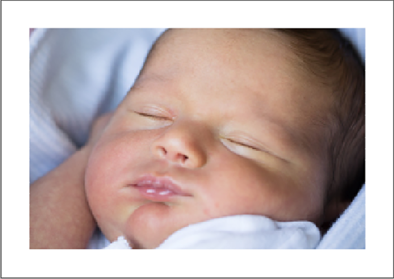 SchoenePost-Geburt-Kommt ein Vogel Innenlinks