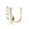 U
